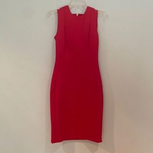 Calvin Klein Pink Business Dress Size 2